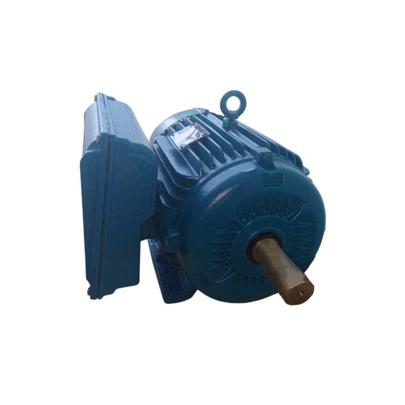 MOTOR ELÉCTRICO MONOFASICO 10 HP
