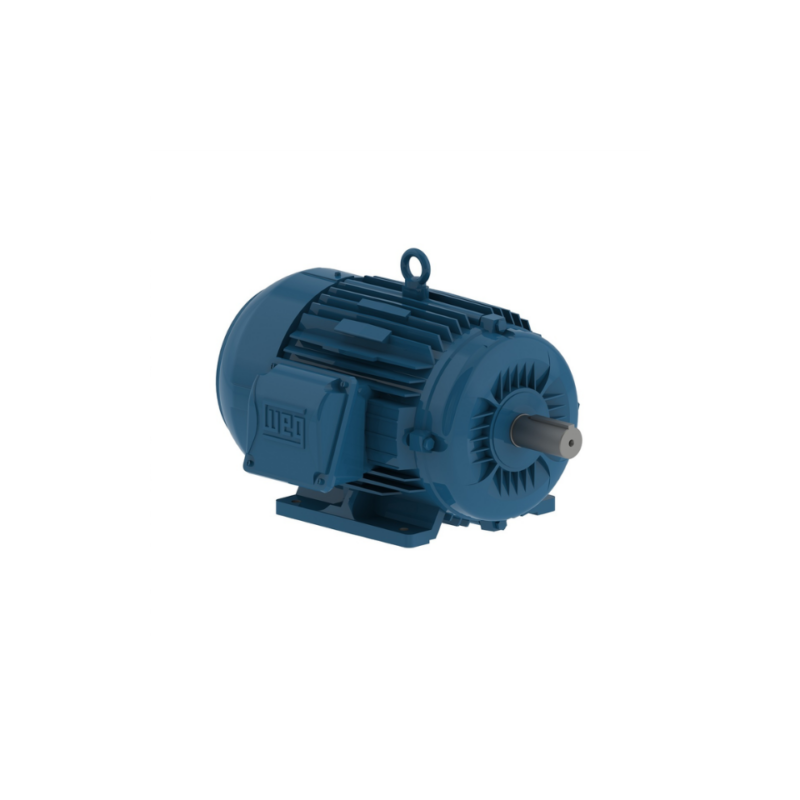 MOTOR ELÉCTRICO TRIFASICO 50 HP SIN BRIDA