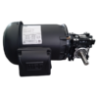 Motorreductor Corona Sinfin T-40 rel. 20 : 1  de 0.50 HP Trifasico