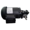 Motorreductor Corona Sinfin T-50 rel. 30 : 1 de 0.75 HP Trifasico