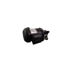 Motorreductor Corona Sinfin T-50 rel. 60 : 1 de 0.25 HP Trifasico