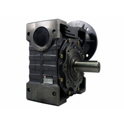REDUCTOR NMRV T-110 REL 30 : 1